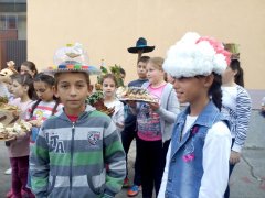 IMG_20171005_140859.jpg